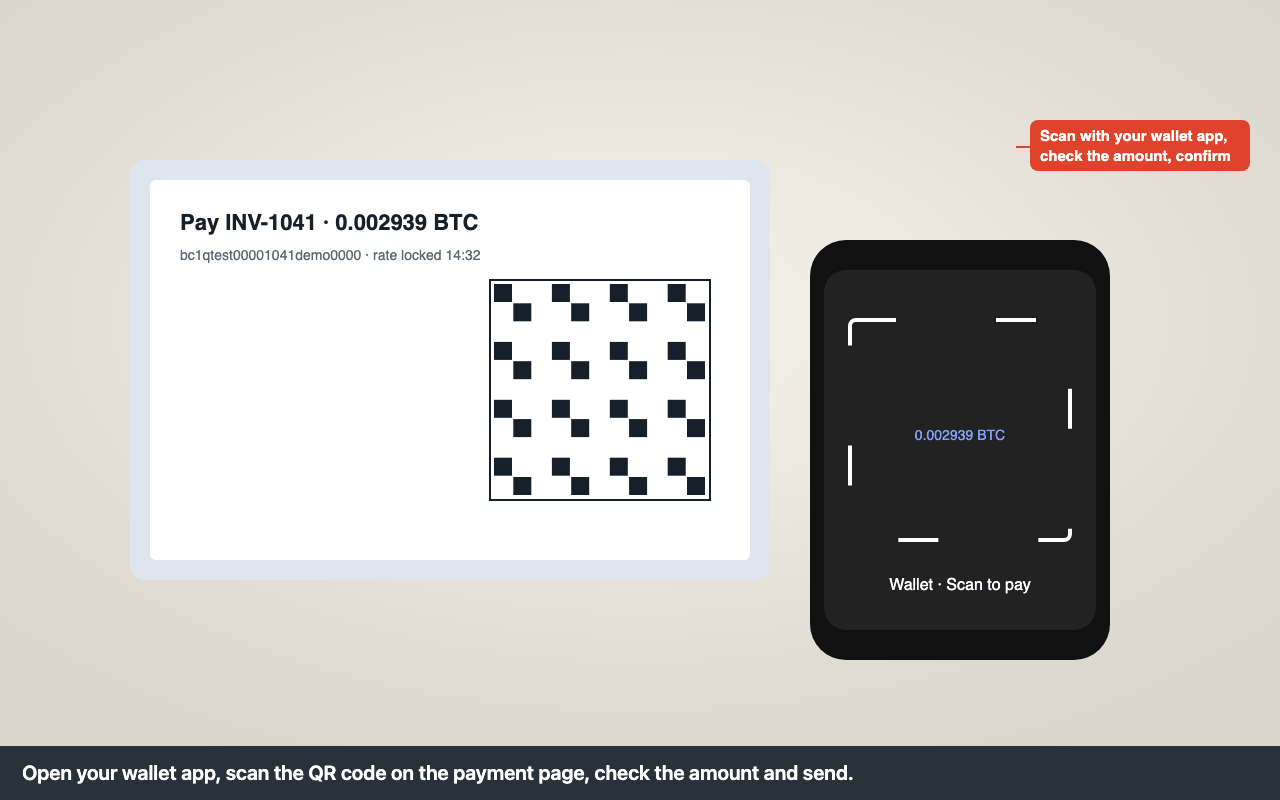 Photo: scanning the payment QR code with a wallet app